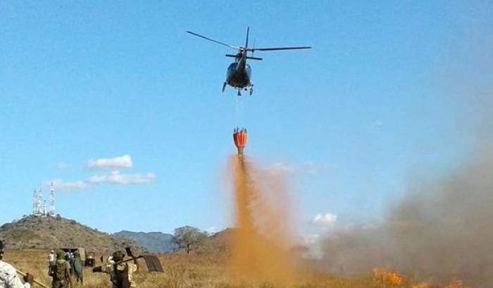 Disastro ambientale in Kenya: in fiamme la riserva naturale dello Tsavo