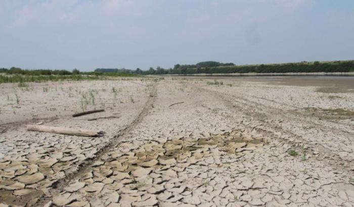 In arrivo temperature roventi, l'allarme di Coldiretti: "Colture a rischio"