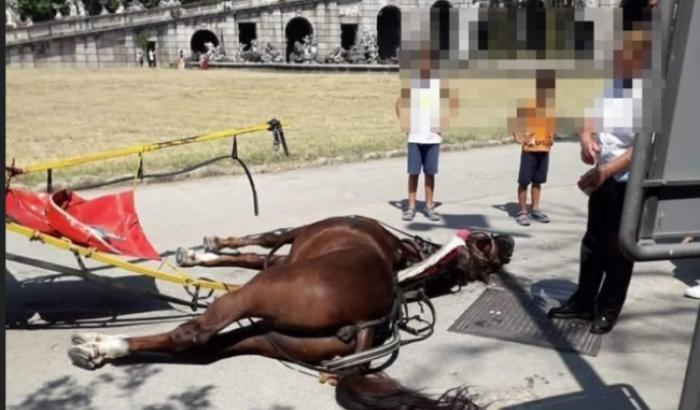 Il cavallo morto