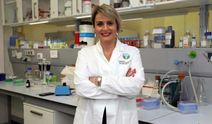 L'immunologa Viola: "Siamo in crisi, basta polemiche o rischiamo di bloccare tutto"