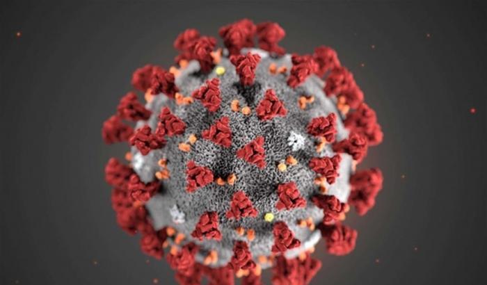 Le cellule T "ricordano" il virus nei sei mesi successivi: lo rivela uno studio inglese
