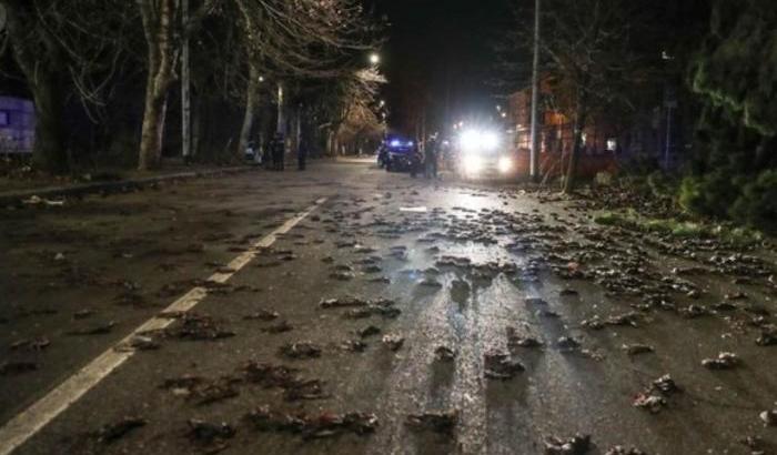 A Roma centinaia di uccelli morti per strada dopo i botti di Capodanno