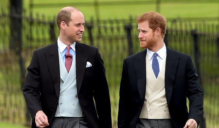 Henry, duca di Sussex e William, duca di Cambridge