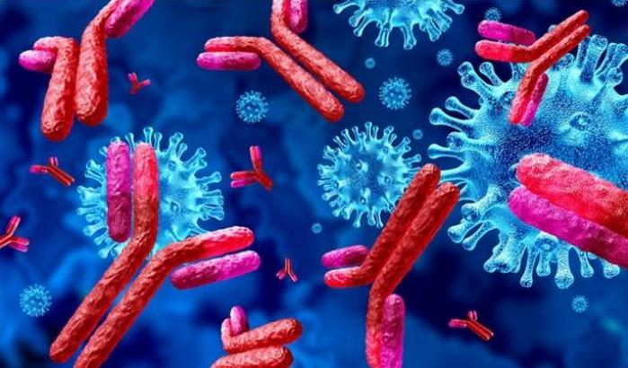 Individuati gli anticorpi che bloccano il Sars-CoV-2 e le varianti