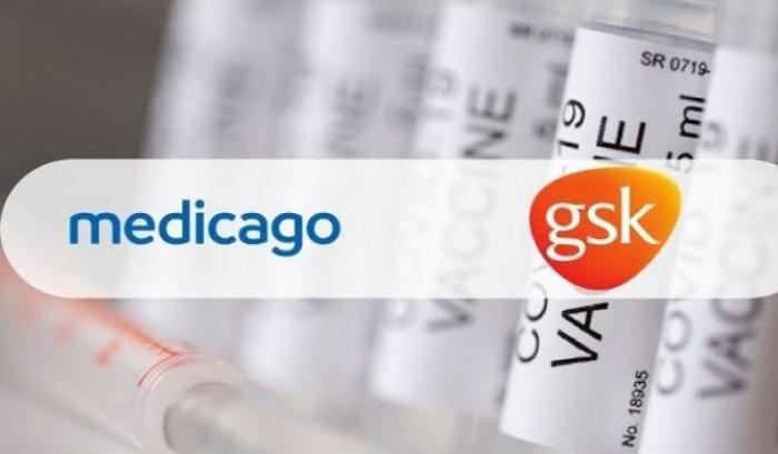 Il vaccino vegetale Medicago funziona (Gsk): "Risposta positiva negli adulti e negli anziani"