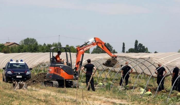 Gli investigatori: "Certi che il corpo di Saman sia seppellito nelle serre"