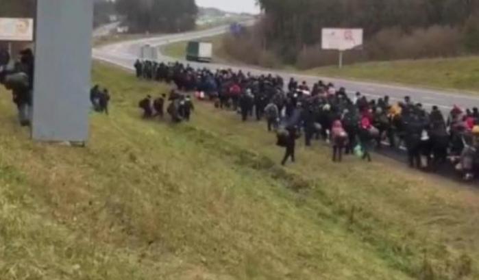 0005D333-esodo-di-migranti-tra-bielorussia-e-polonia Esodo di migranti tra Bielorussia e Polonia