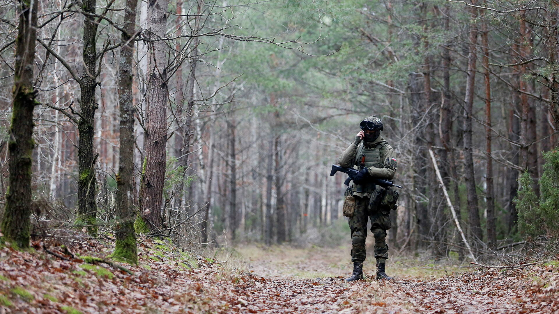 Migranti al gelo, foresta distrutta: la frontiera del crimine tra Bielorussia e Polonia