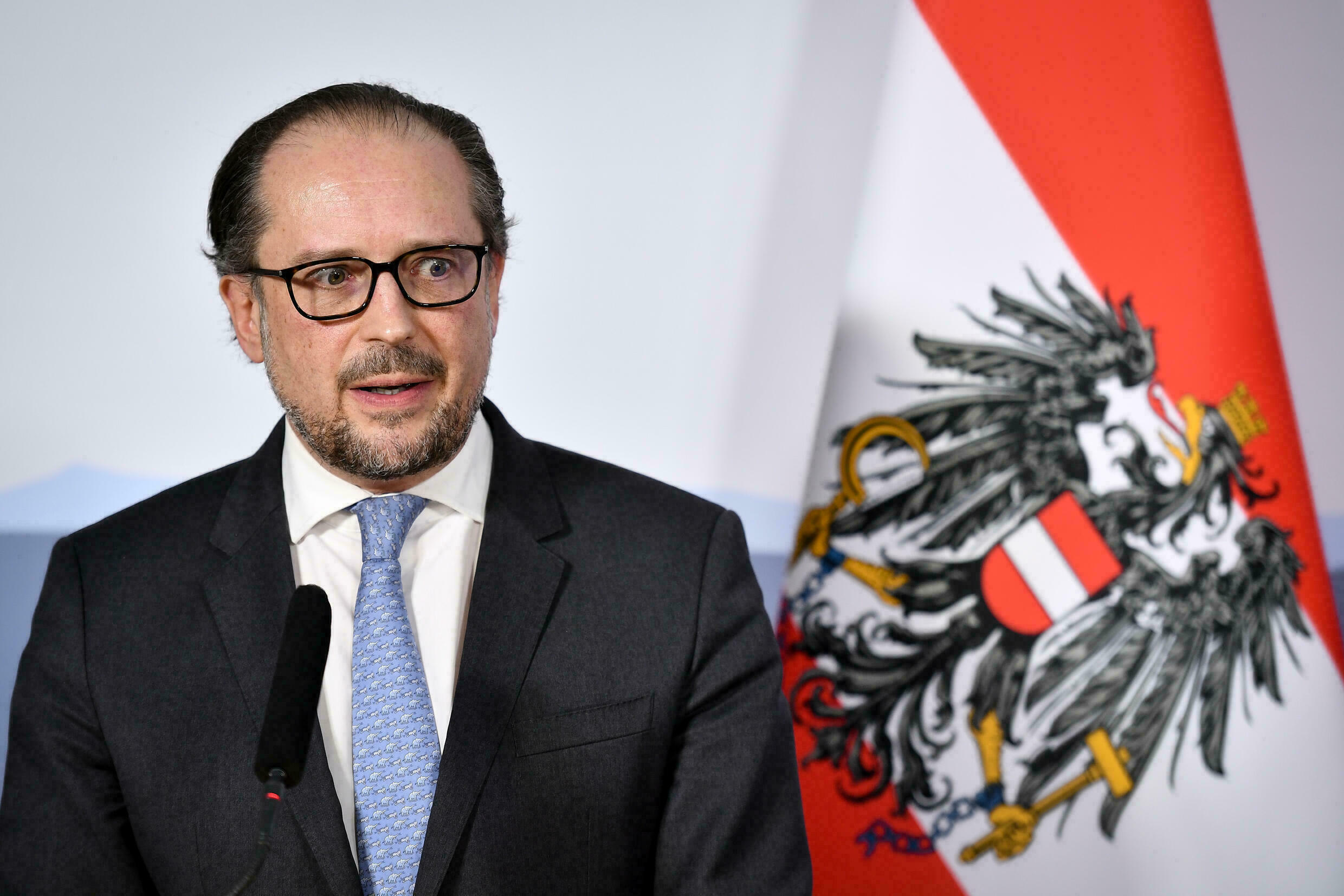 Vienna chiede all'Occidente il dialogo con la Russia nonostante la guerra in Ucraina Vienna chiede all'Occidente il dialogo con la Russia nonostante la guerra in Ucraina
