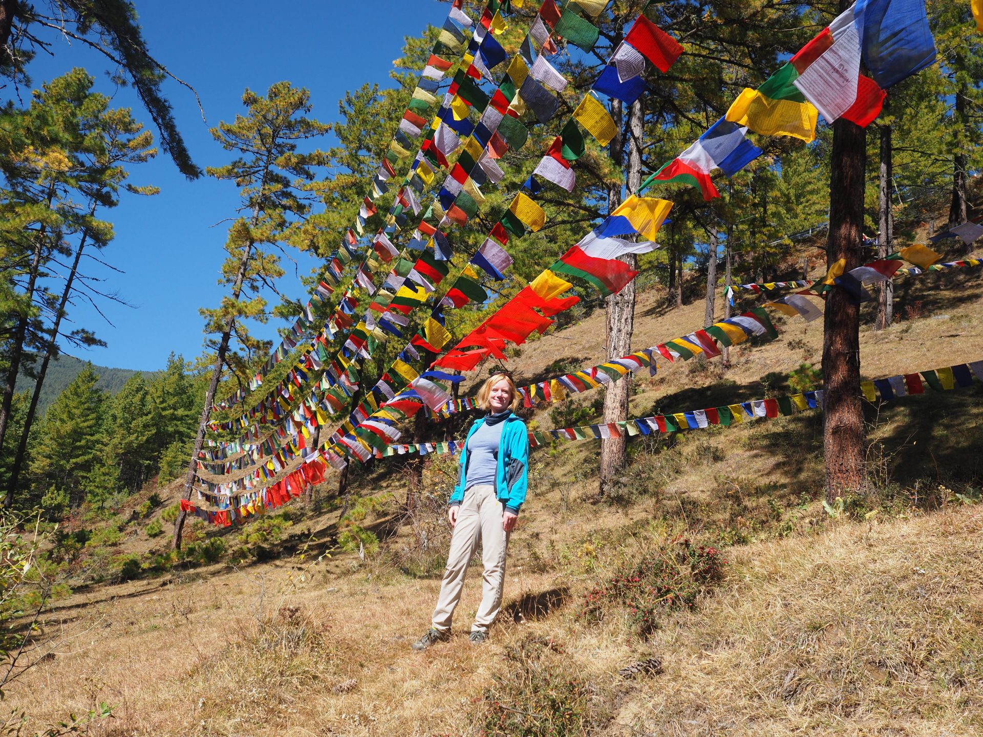 In viaggio sull'Himalaya: dalle parti degli dei