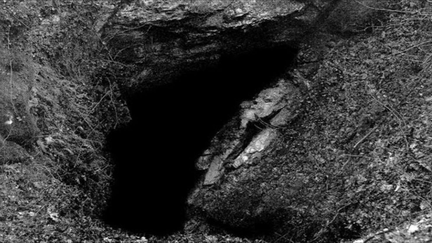 Bufera sulla nota del Miur nel giorno delle Foibe: "Italiani categoria umana da nullificare come gli ebrei" Bufera sulla nota del Miur nel giorno delle Foibe: "Italiani categoria umana da nullificare come gli ebrei"