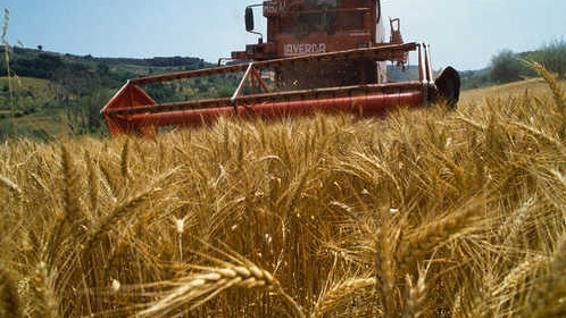 Guerra in Ucraina, ecco perché in Italia potrebbero aumentare i prezzi di pane e pasta