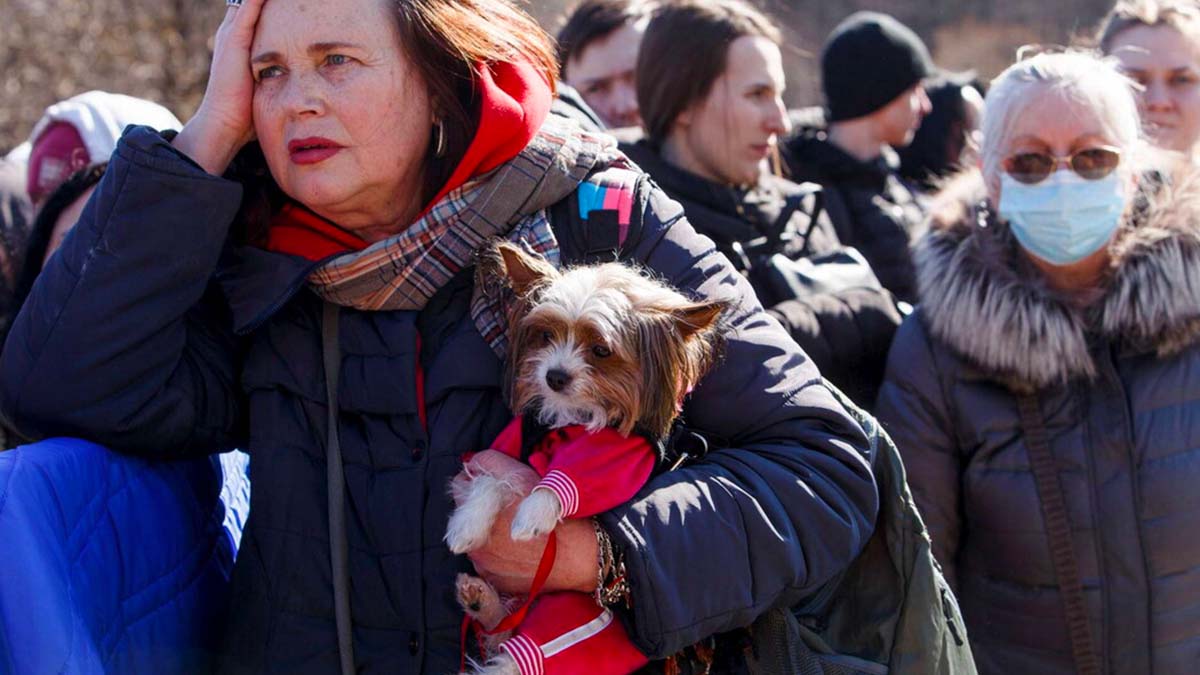 Emergenza rifugiati, le persone scappano con i loro animali domestici. Deroghe per farli entrare (Foto-gallery)