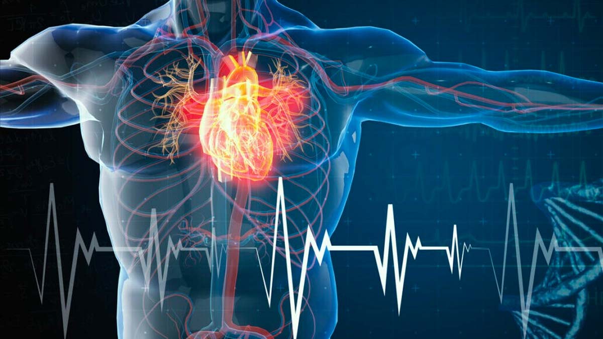 Covid, aumentano gli infarti nella popolazione: +25% rispetto allo scorso anno