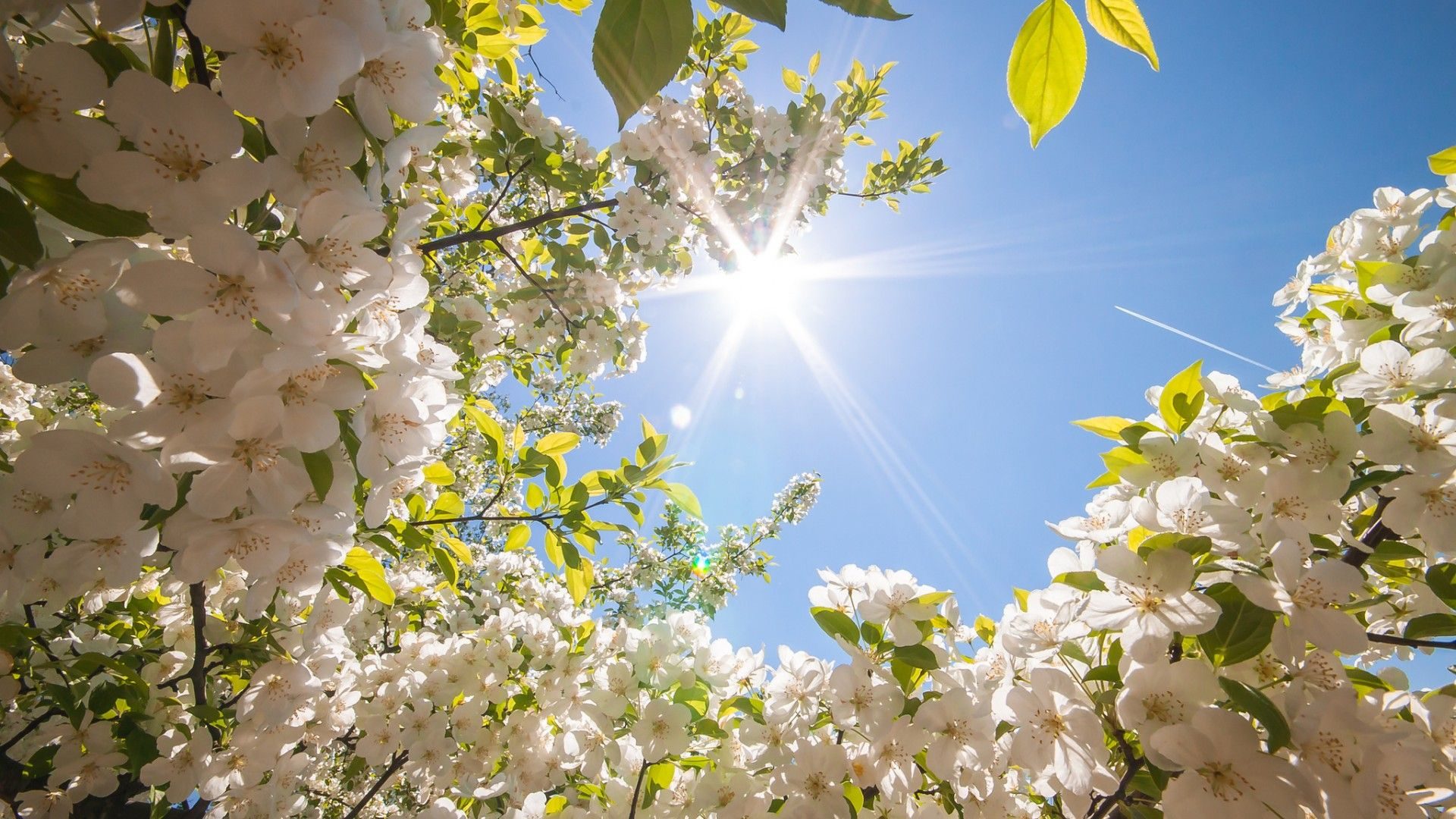 La pioggia sta finendo, ancora qualche ora e arriverà la Primavera... e il primo caldo africano