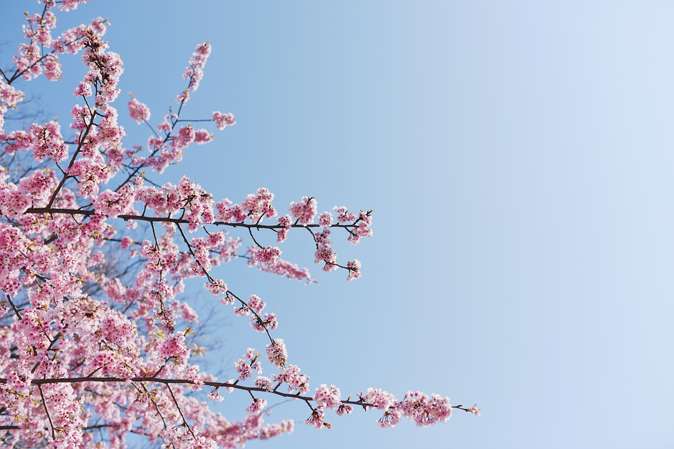 Il meteo di Pasquetta: ecco che tempo farà lunedì 17 aprile