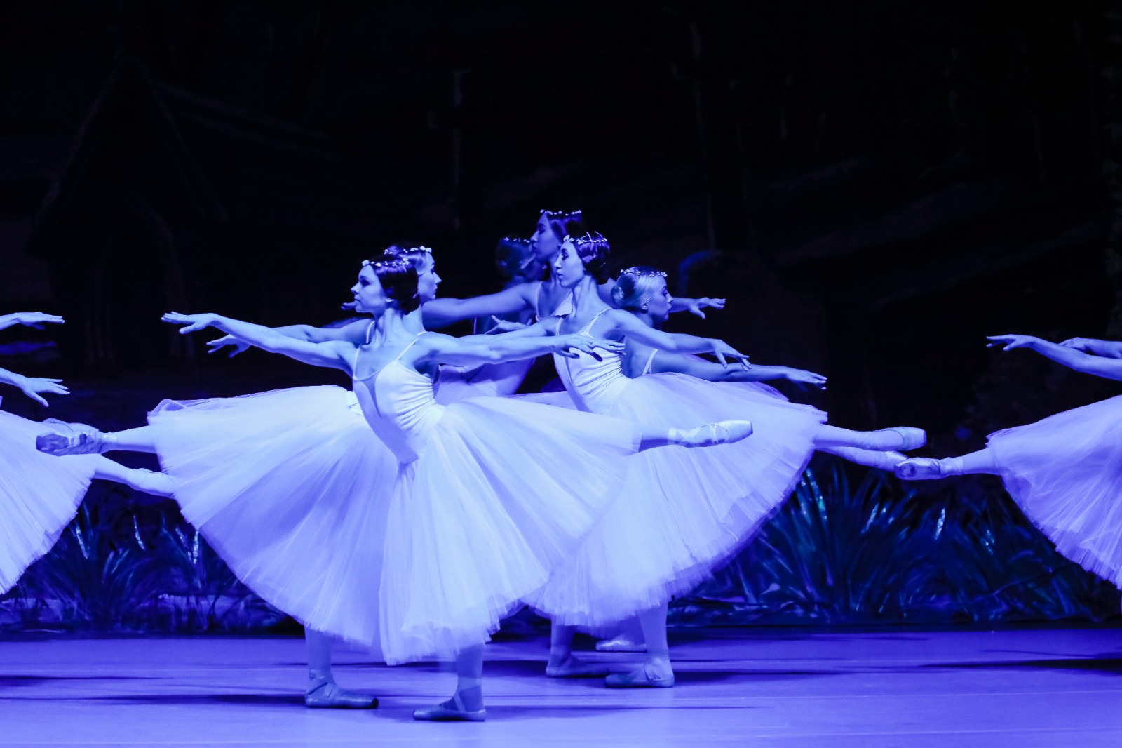 ukranian-ballet-classical Ucraina, Ciajkovskij bandito dall'Ukrainian Classical Ballet: "Autore immenso, ma per ora non abbiamo scelta"