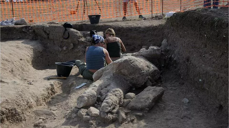 A Mont'e Prama straordinaria scoperta: trovati i resti di altri due giganti di pietra