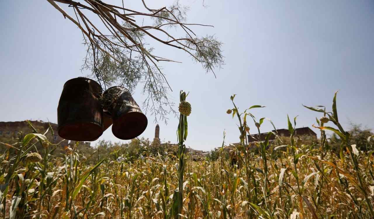 La guerra in Ucraina e le due G (gas e grano) che scuotono il mondo