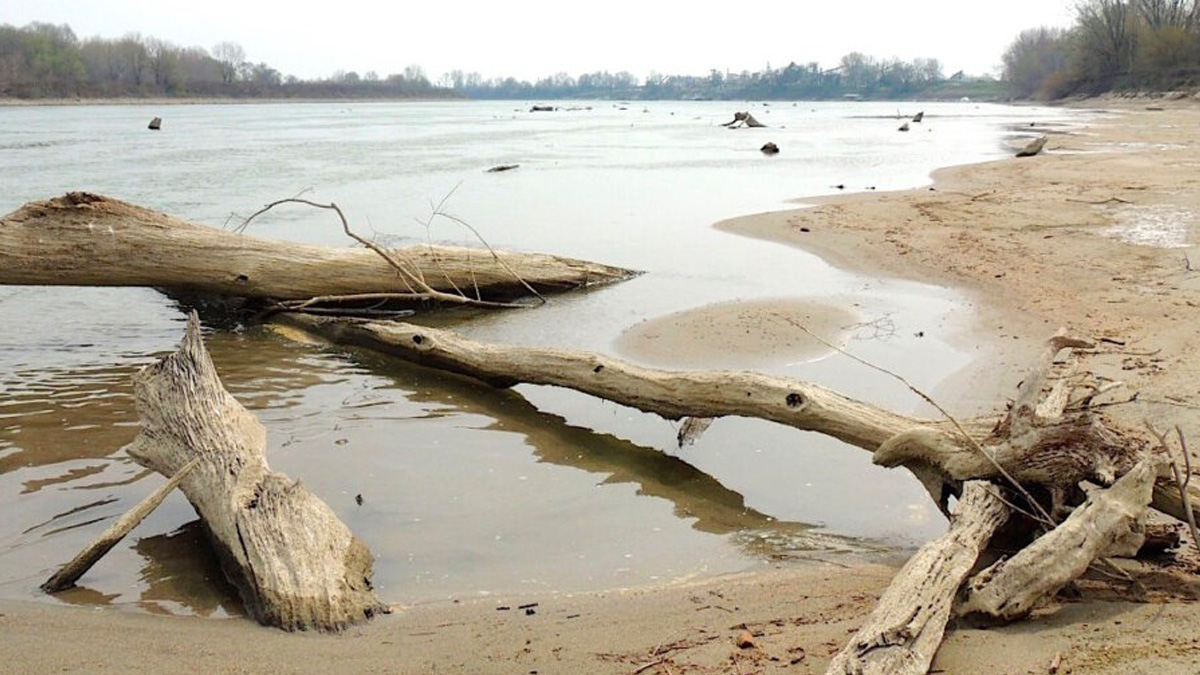 Siccità, l'Osservatorio del Po: "Crisi mai vista negli ultimi 70 anni"
