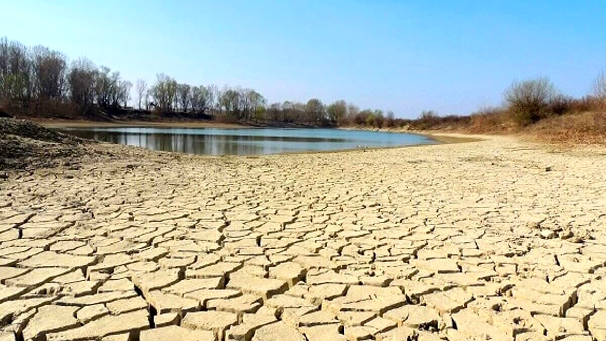 Siccità, Coldiretti lancia l'allarme pioggia: "E' pericolosa sui terreni secchi"