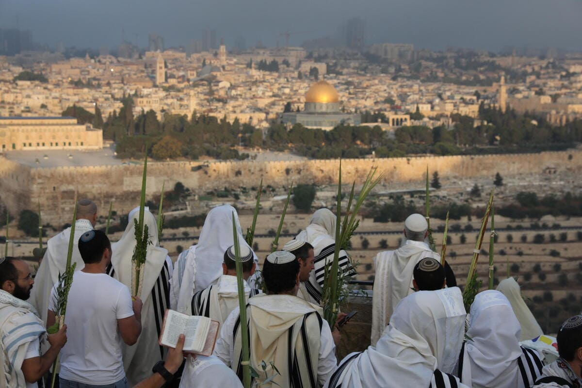 Israele, la minaccia viene dall'interno: viaggio nel mondo degli haredim