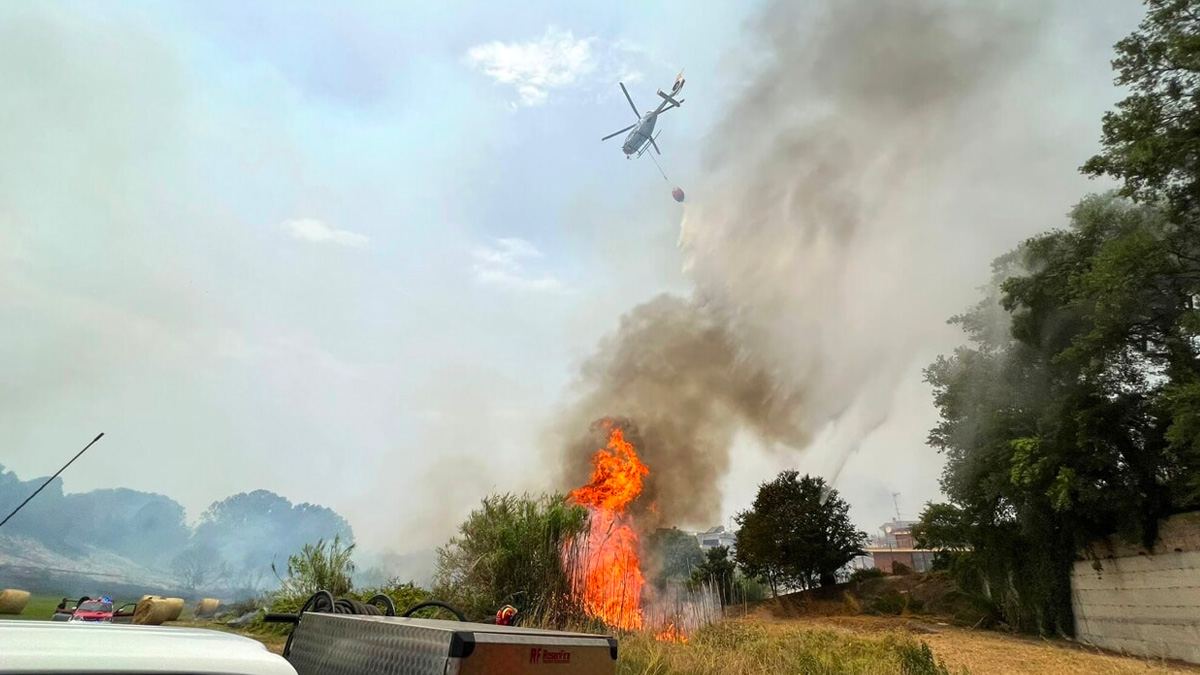 Incendi a Roma, arrestato un piromane: è un uomo di 62 anni. La denuncia del Wwf