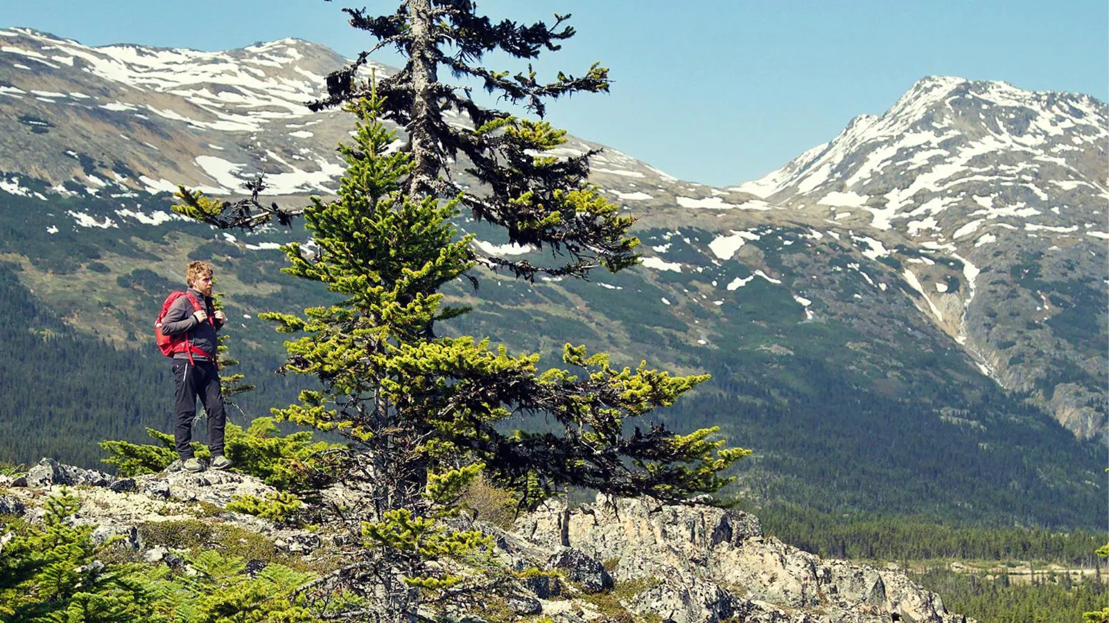 1600x900_1661343223660_Sogni di grande nord 24.8.22 “Sogni di grande nord” questa sera alle 21.25 su Rai 2: le anticipazioni del documentario