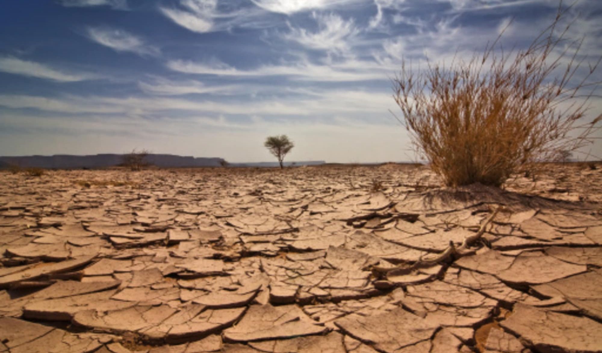 Gli studiosi di Cambridge: "Il cambiamento climatico può realmente trasformarsi in una catastrofe"