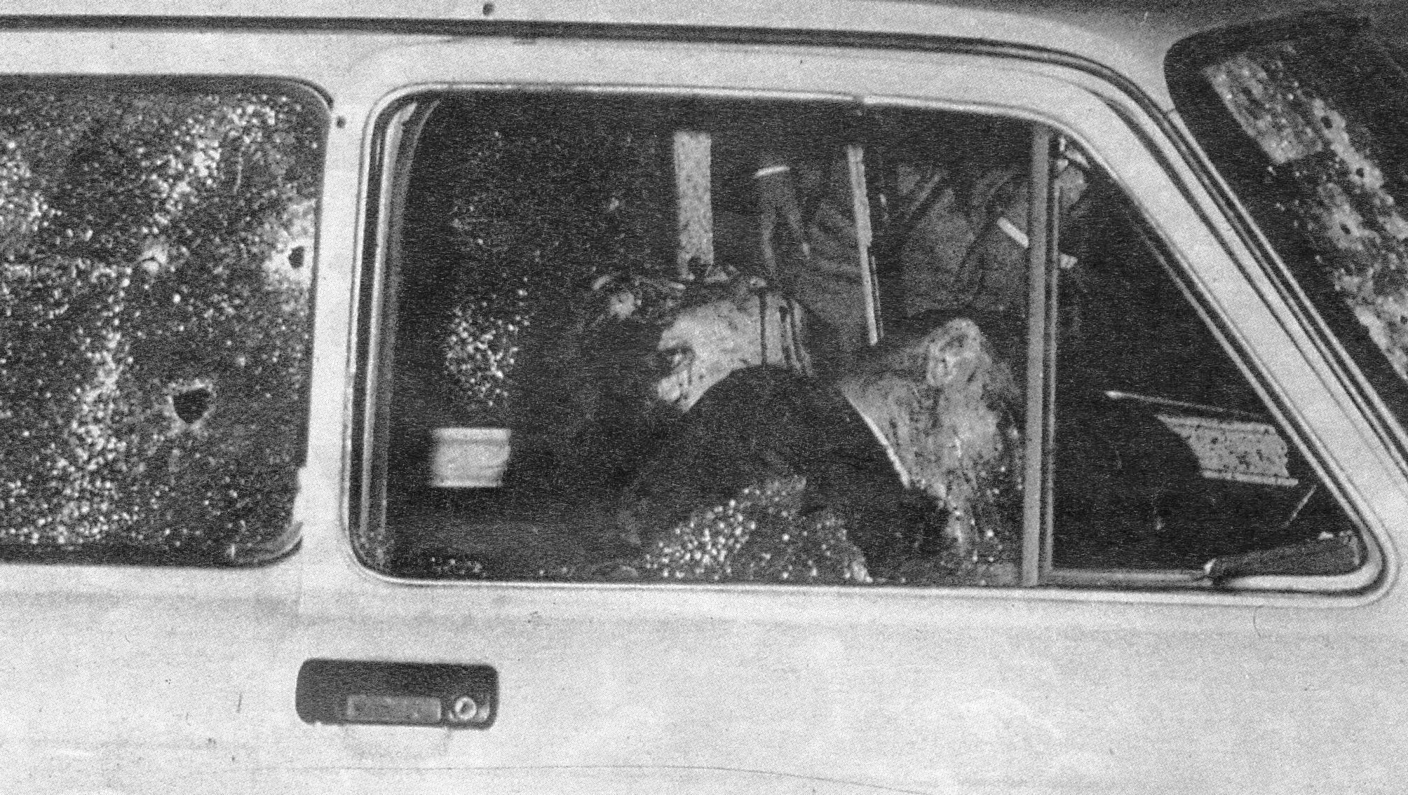 Mattarella ricorda Dalla Chiesa: "Un eroe la cui memoria sopravvive in chi vuole la legalità e una società più giusta"