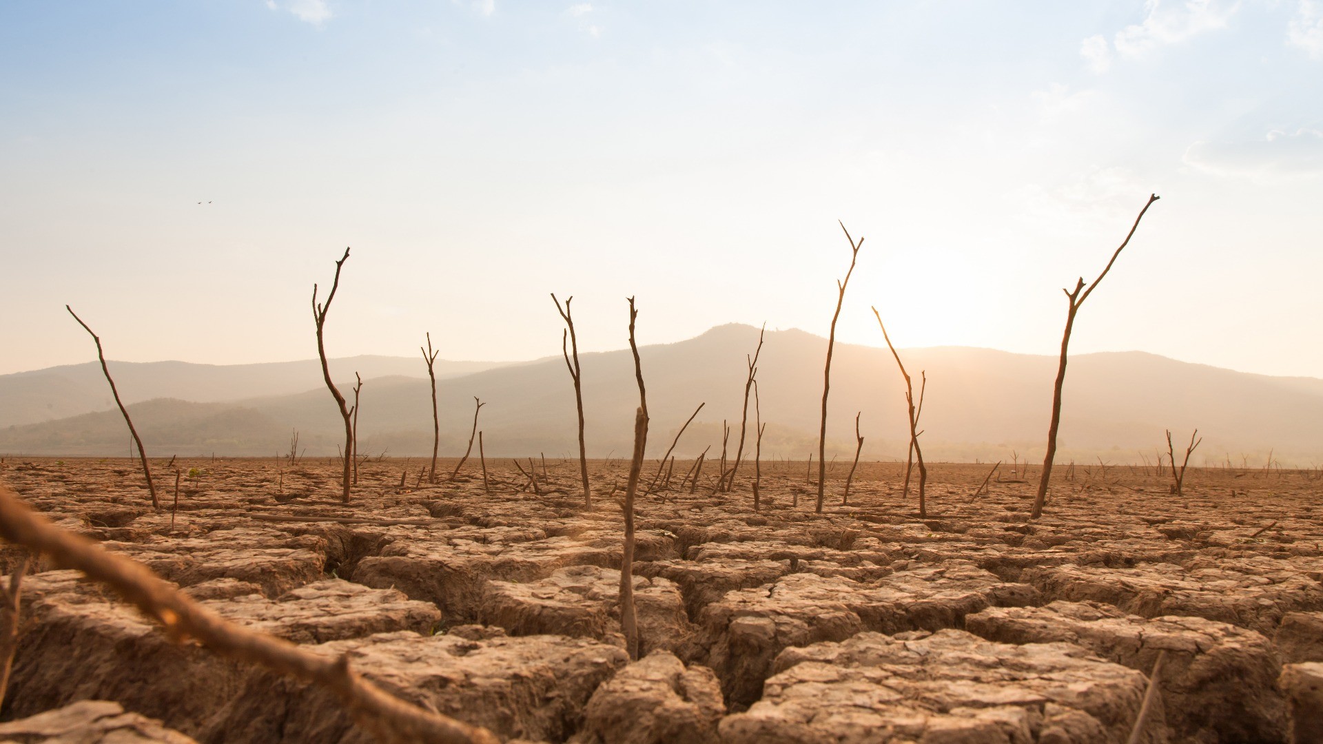 Cambiamento climatico fuori controllo: l'Onu denuncia ma i nemici del pianeta non arretrano