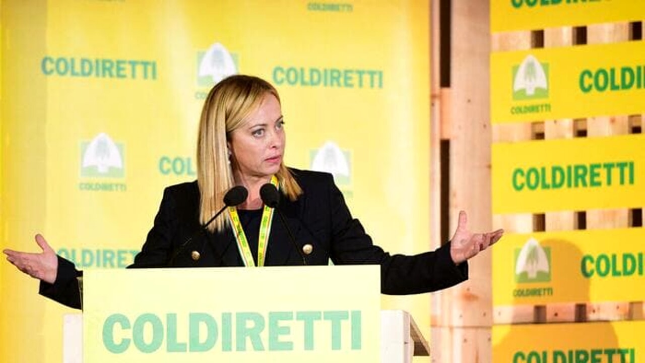 Cibi sintetici, il no del governo vale 580 miliardi. Coldiretti: "Il cibo è la ricchezza dell'Italia"