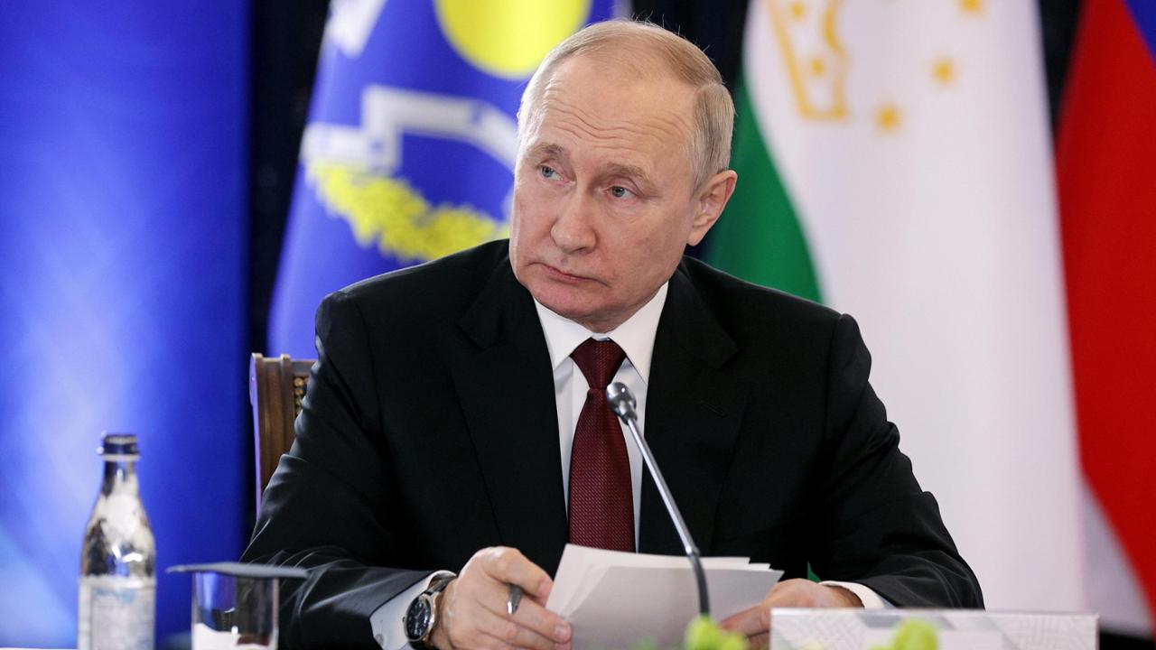 Putin ha vietato la maternità surrogata agli stranieri (e agli uomini single)