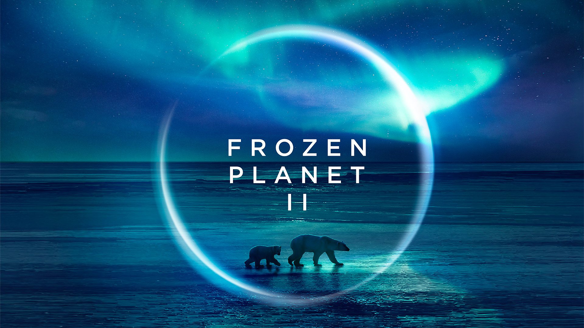 "Frozen Planet II", alle 21.30 su Rete 4 l'episodio 3 e 4: ecco le anticipazioni