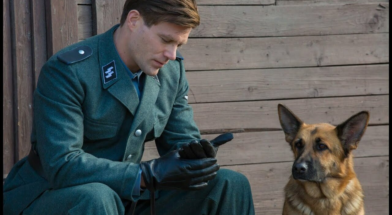 "Zack, Cane eroe", alle 21.30 su Rai 1: ecco la trama del film tratto da un bestseller