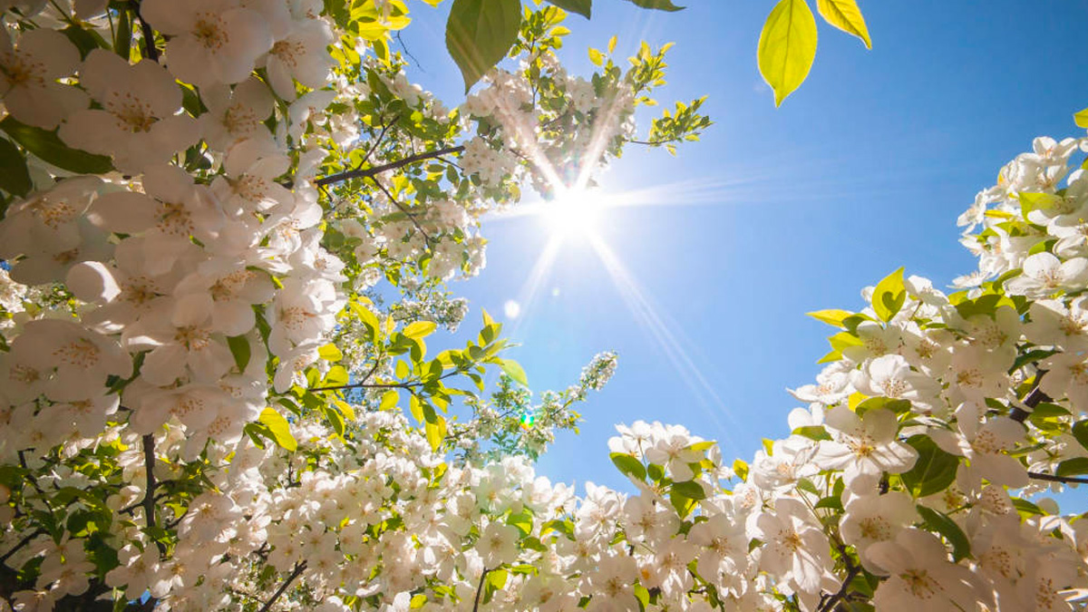 Pioggia e freddo almeno fino al weekend, poi inizierà la Primavera: ecco le previsioni