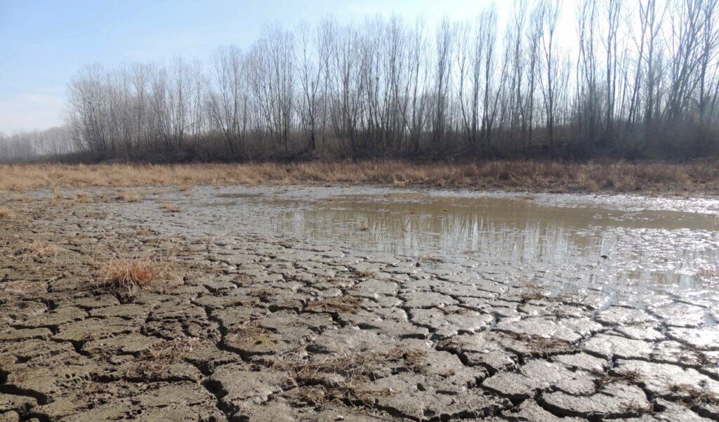 Siccità: rischi per le imprese agricole mentre il governo ostacola la transizione ecologica