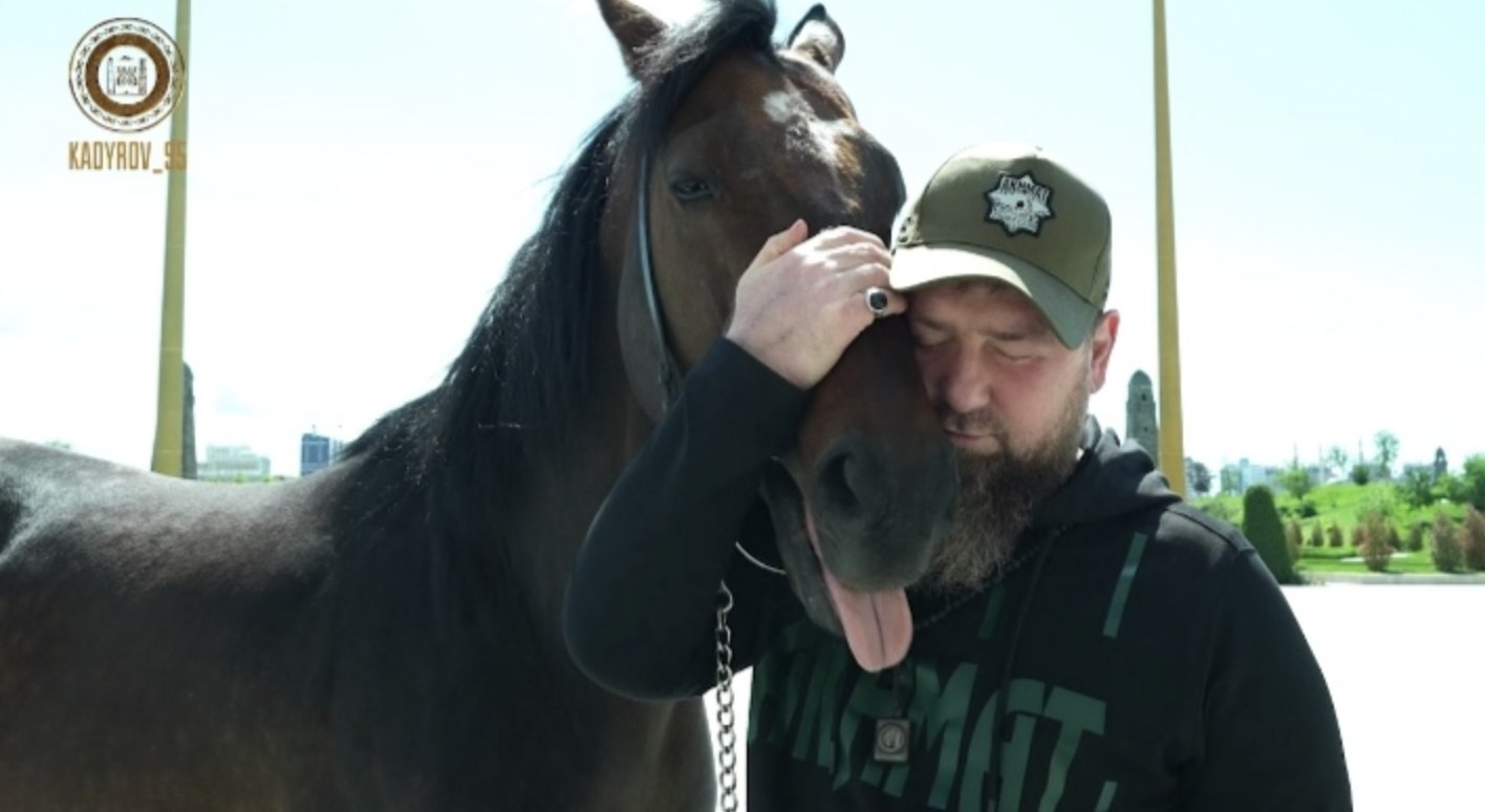 Il leader ceceno Kadyrov ha recuperato il purosangue rapito