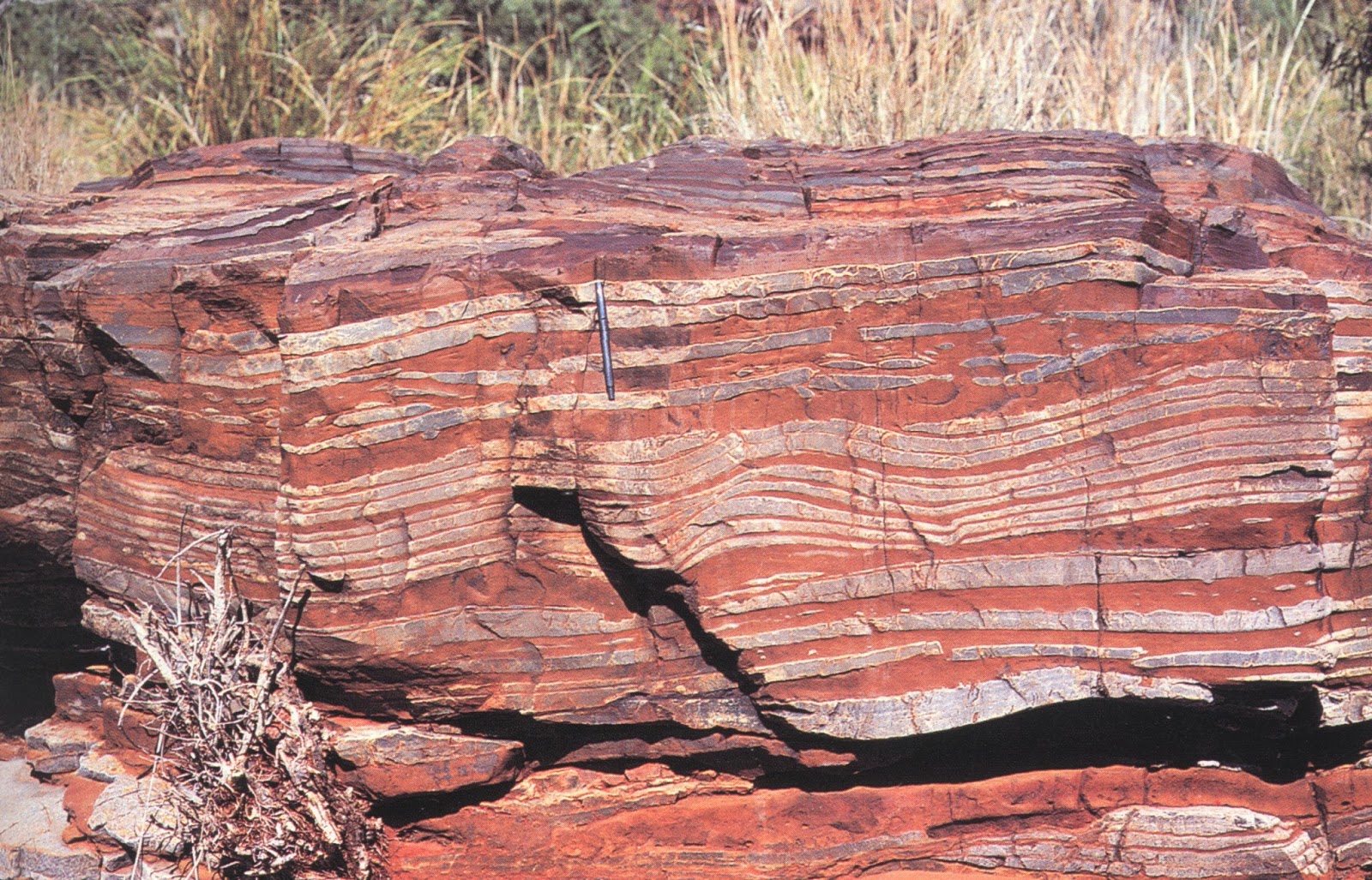Rocce 'banded iron bed': Il collegamento tra origine della vita, vulcani e montagne