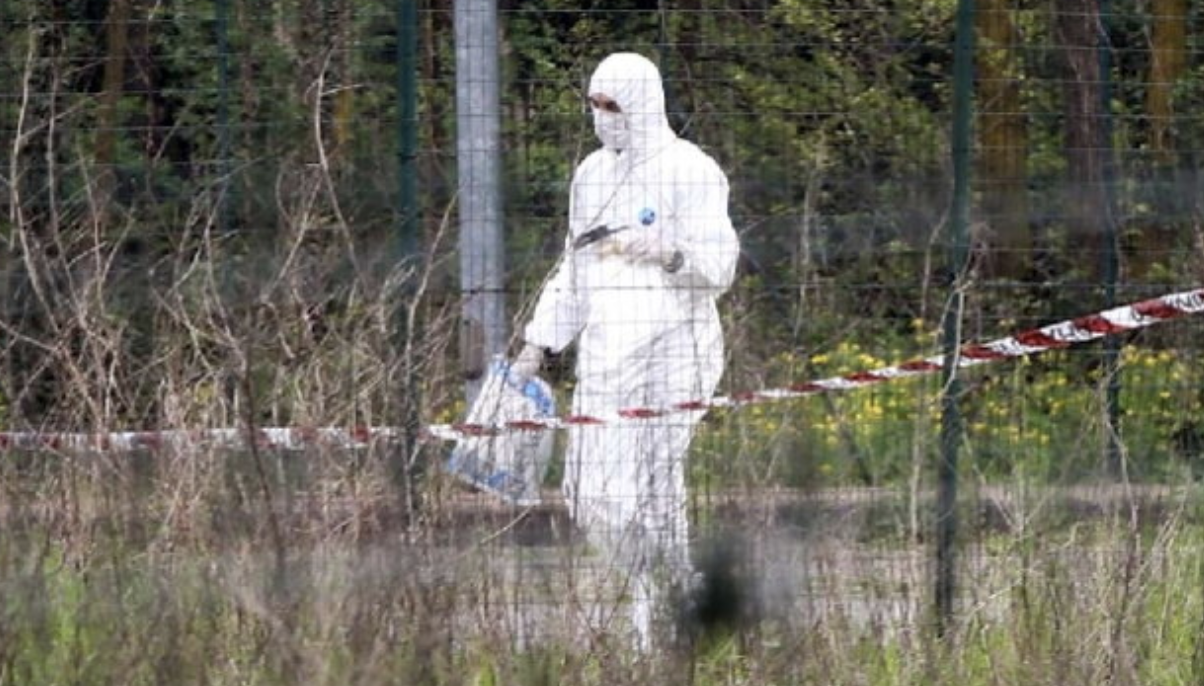 Giallo a Roma: lo scheletro di una donna trovato durante i lavori in un parco