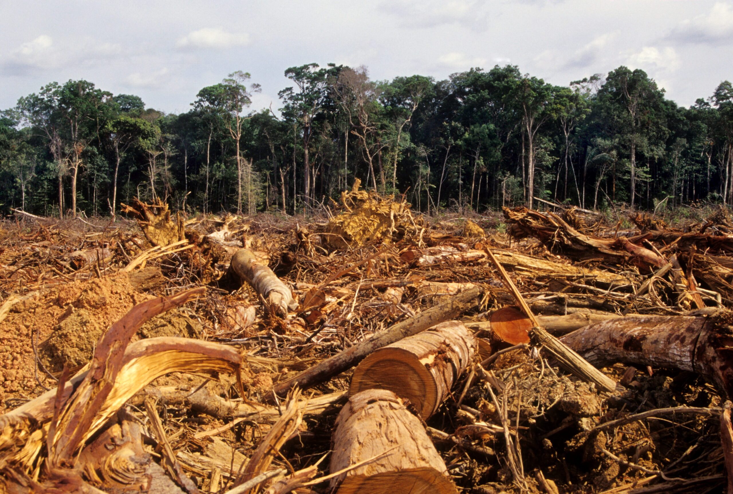 In Amazzonia emissioni doppie sotto la presidenza Bolsonaro