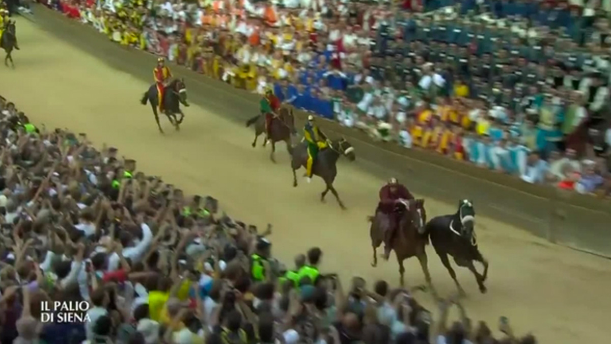 L'Oca vince il Palio dell'Assunta con il cavallo scosso: la contrada non trionfava da 10 anni