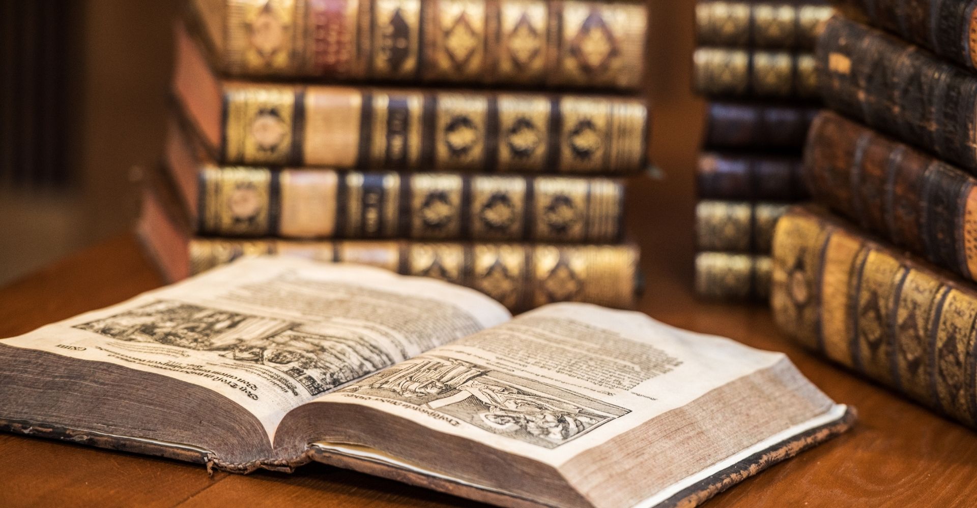 Letteraria, un premio serio: Maura Maioli racconta la sua 'creatura'