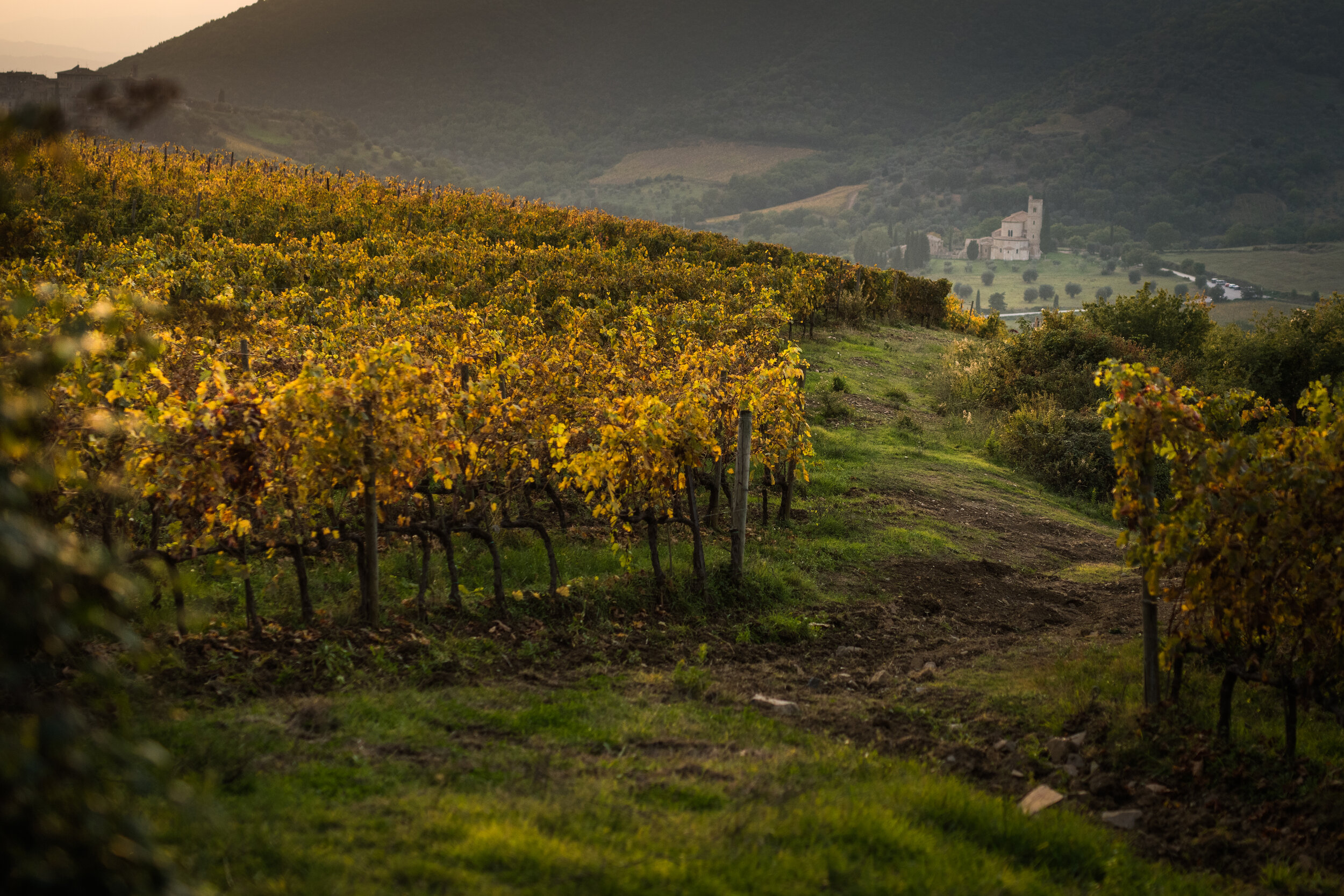 Brunello e Valdorcia: il "miglior vino al Mondo" in un paesaggio Patrimonio dell’Umanità