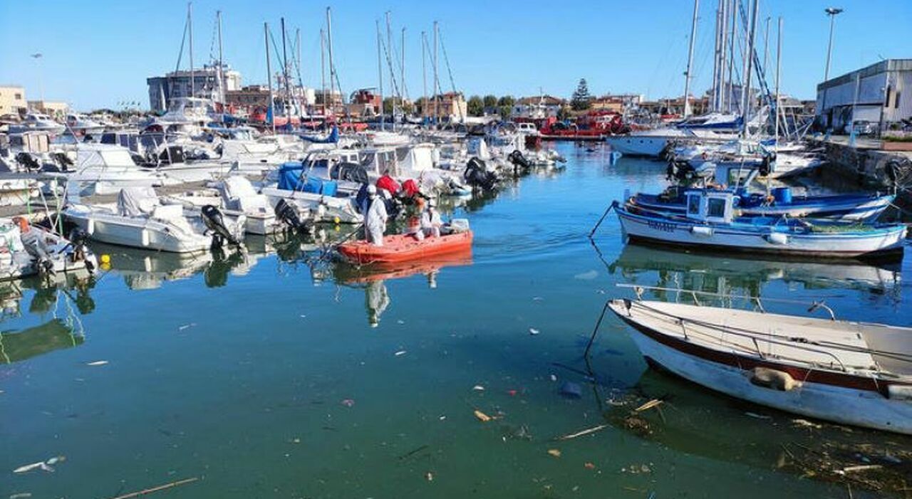 Cadavere di un uomo in un canale a Fiumicino, il corpo è in avanzato stato di decomposizione