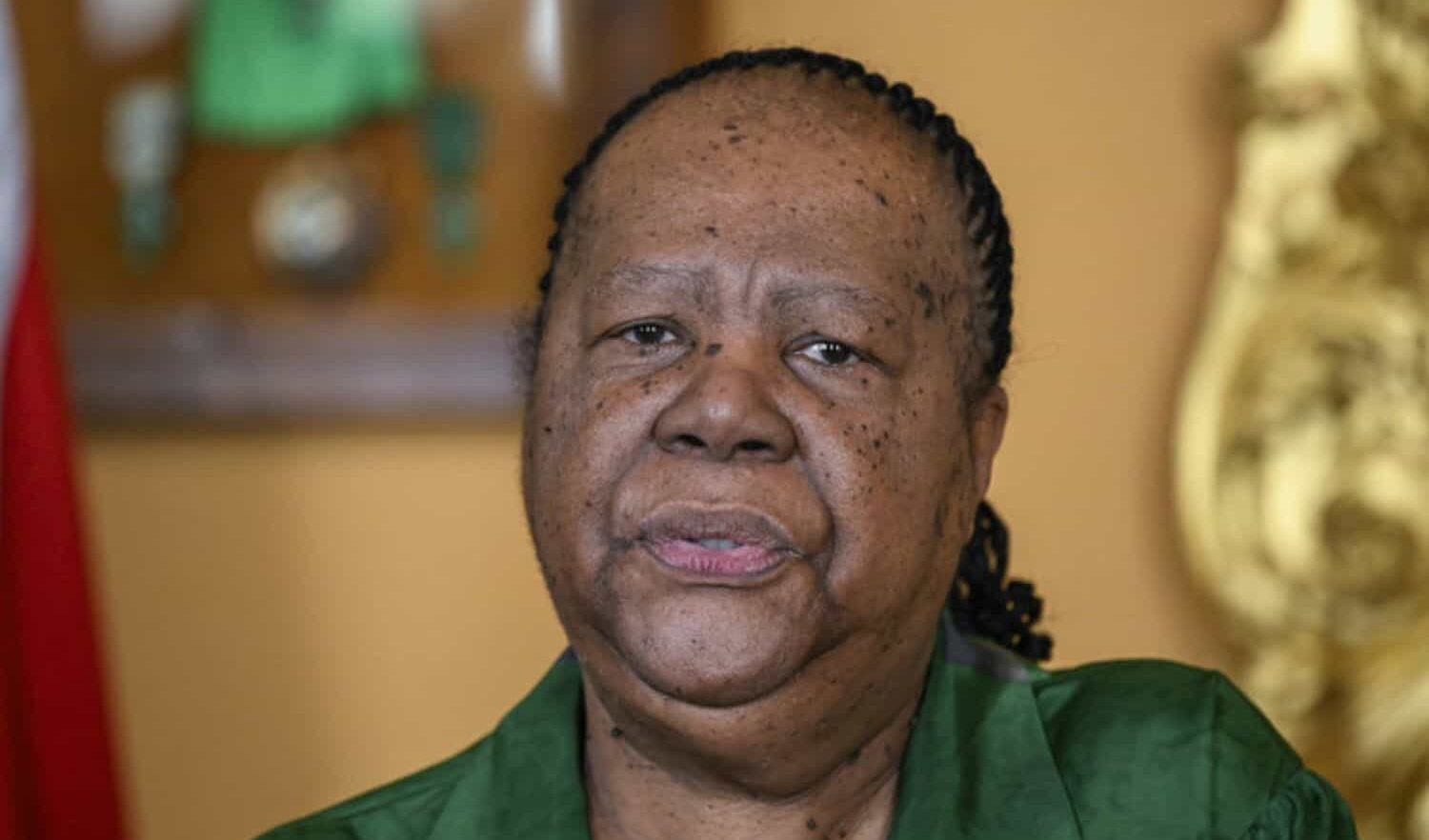 Il Sudafrica: "Vogliamo mettere in evidenza la sofferenza dei palestinesi di Gaza dopo la rappresaglia di Israele"