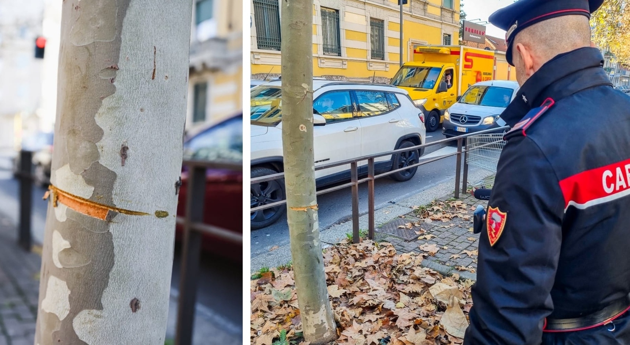 Tende un cavo d'acciaio in mezzo a Viale Toscana, arrestato un 24enne: "Era solo una bravata, ci annoiavamo..."