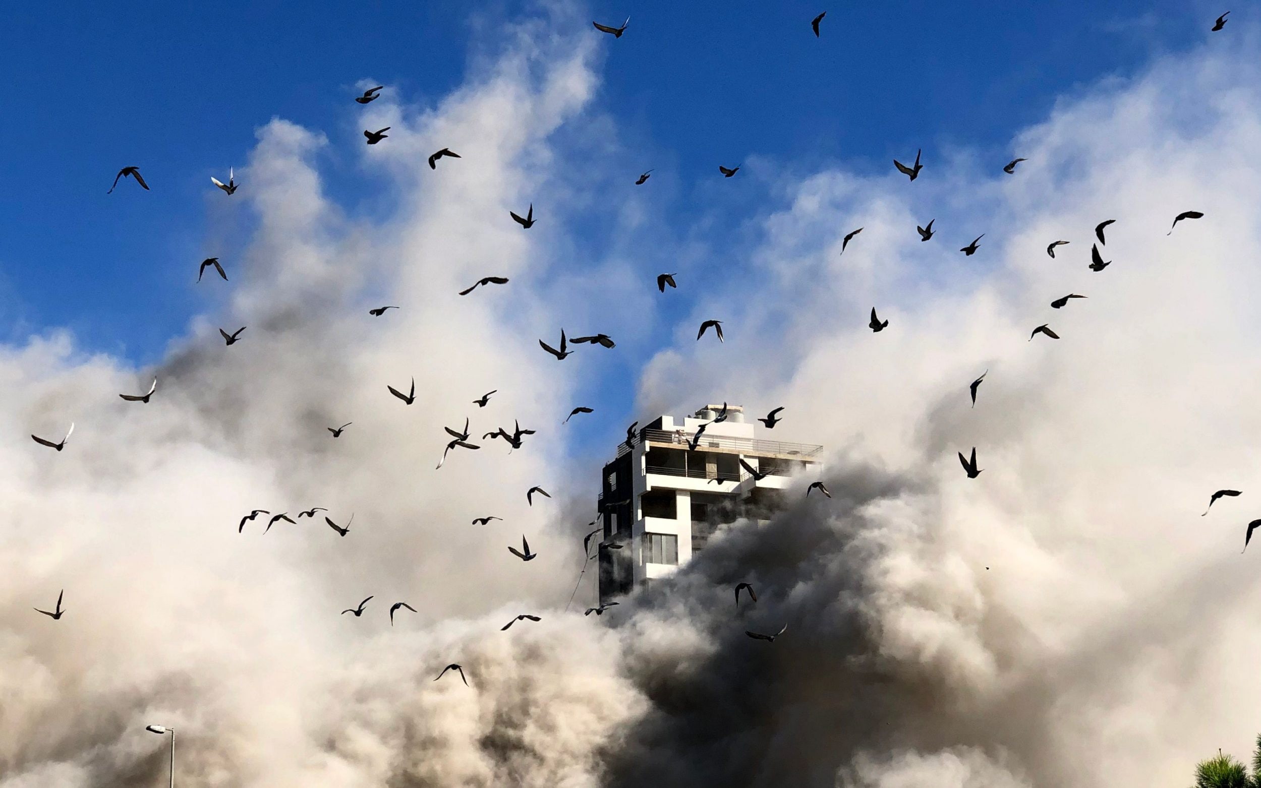 Il bilancio delle vittime in Libano per gli attacchi israeliani raggiunge quota 2.520 Il bilancio delle vittime in Libano per gli attacchi israeliani raggiunge quota 2.520