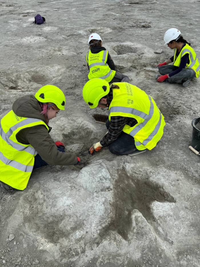 Ricercatori a Lavoro sul sito del ritrovamento.