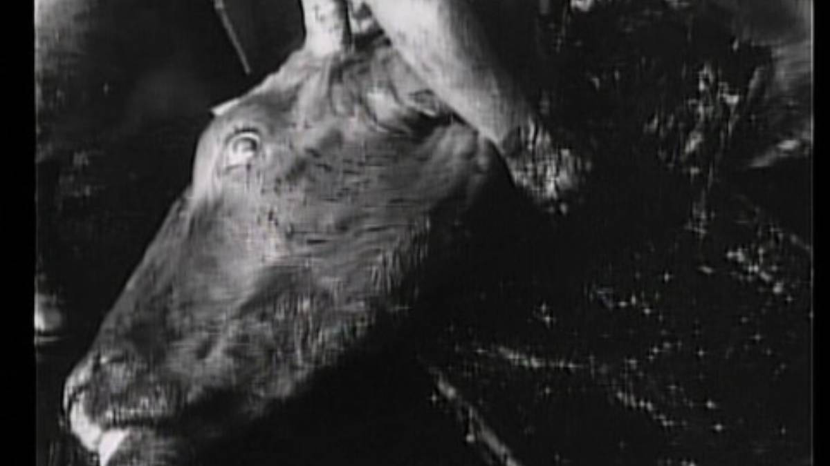Le lotte operaie nel cinema muto di cent’anni fa